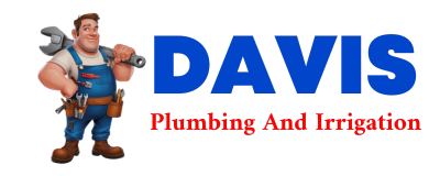 Trusted plumber in BOIS D ARC